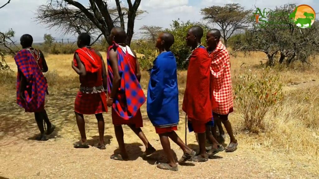 Maasai Warriors dancing and jumping Maasai Warriors dancing and jumping