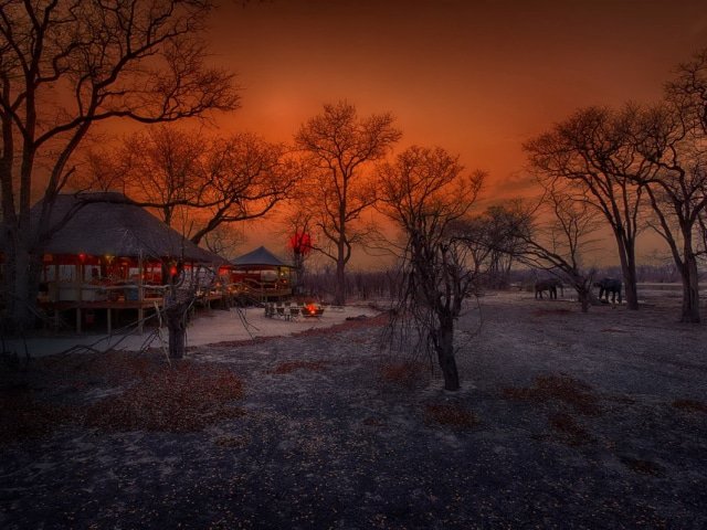 9-day Botswana Baobabs and Okavango Delta