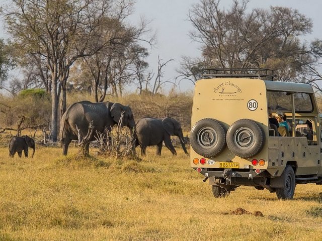 9-day Botswana Baobabs and Okavango Delta