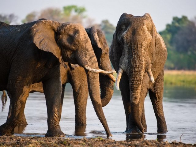 9-day Botswana Baobabs and Okavango Delta