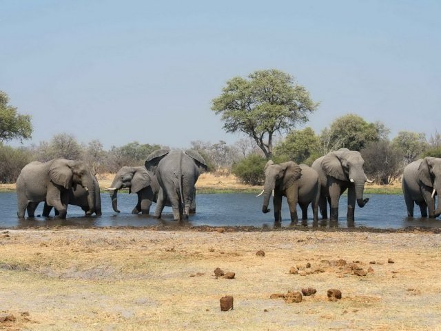 9-day Botswana Baobabs and Okavango Delta