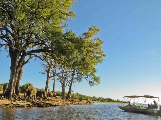 9-day Botswana Baobabs and Okavango Delta