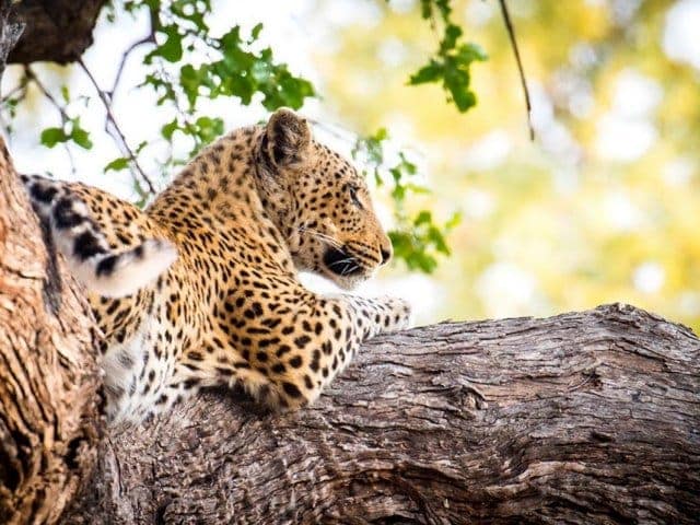 9-day Botswana Baobabs and Okavango Delta