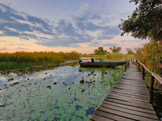 9-day Botswana Baobabs and Okavango Delta