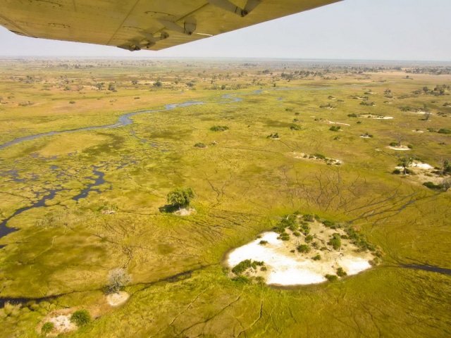 9-day Botswana Baobabs and Okavango Delta