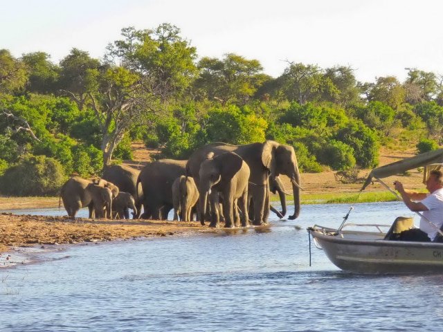 9-day Botswana Baobabs and Okavango Delta