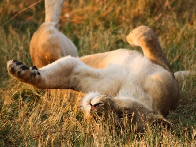 9-day Botswana Baobabs and Okavango Delta