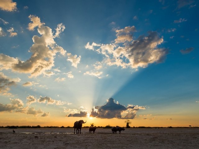 9-day Botswana Baobabs and Okavango Delta