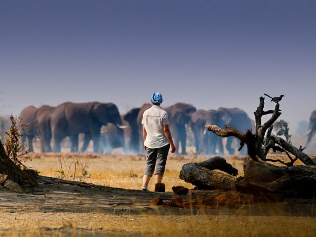 9-day Botswana Baobabs and Okavango Delta