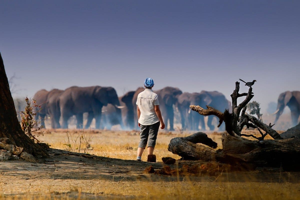 Journey to Botswana