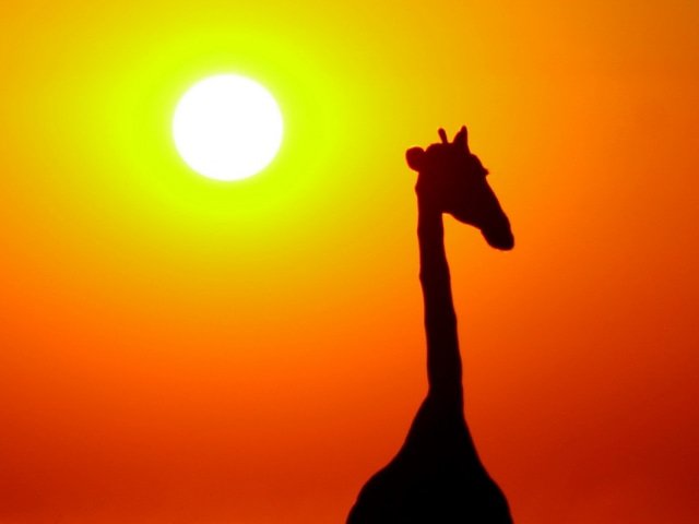 9-day Botswana Baobabs and Okavango Delta
