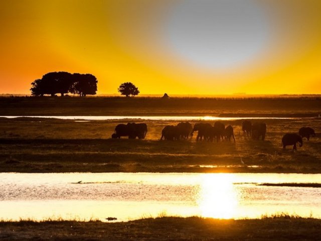 9-day Botswana Baobabs and Okavango Delta