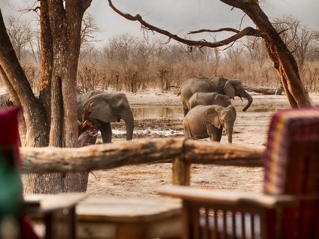 9-day Botswana Baobabs and Okavango Delta