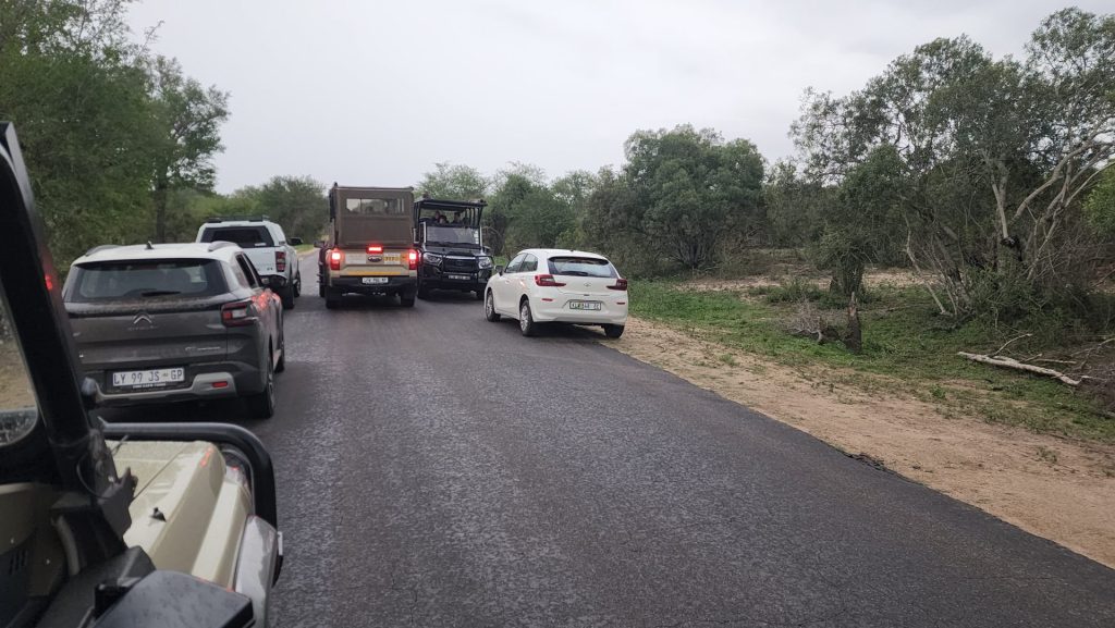 Kruger Park traffic