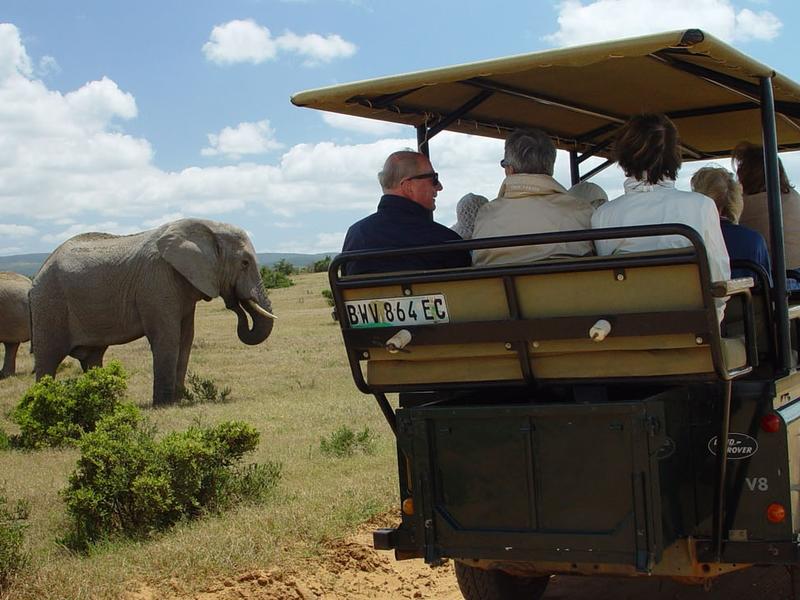 Addo Elephant National Park, South Africa