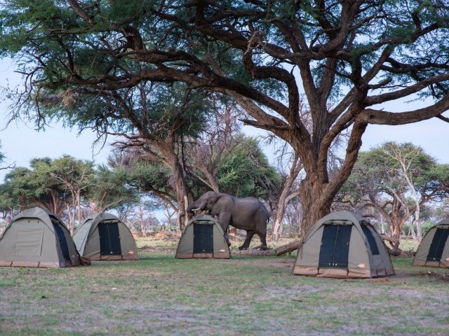 Semi-Participation Camping