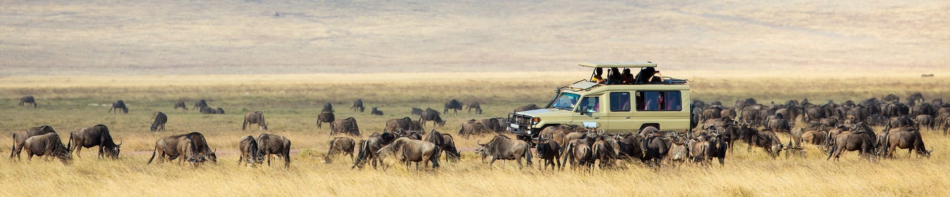 Booking Your Safari