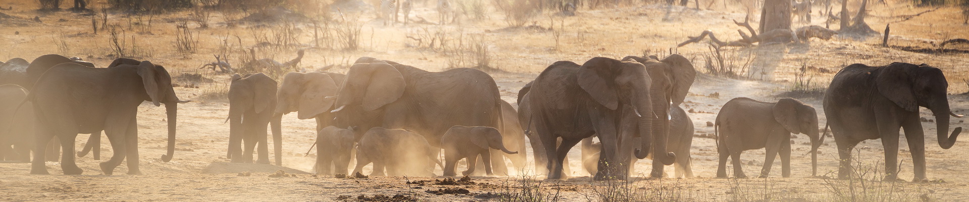 Greater Kruger National Park, South Africa