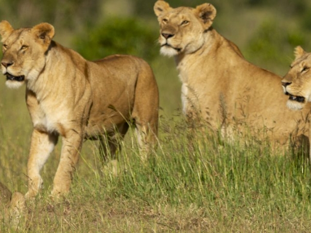 Banner-Destination-Kenya-2021 Banner-Destination-Kenya-2021