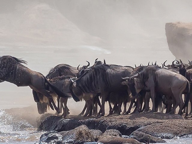 Banner-Destination-Kenya-2020