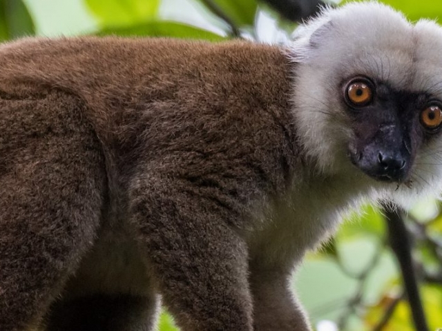 Banner-Destination-Madagascar-2021 Banner-Destination-Madagascar-2021