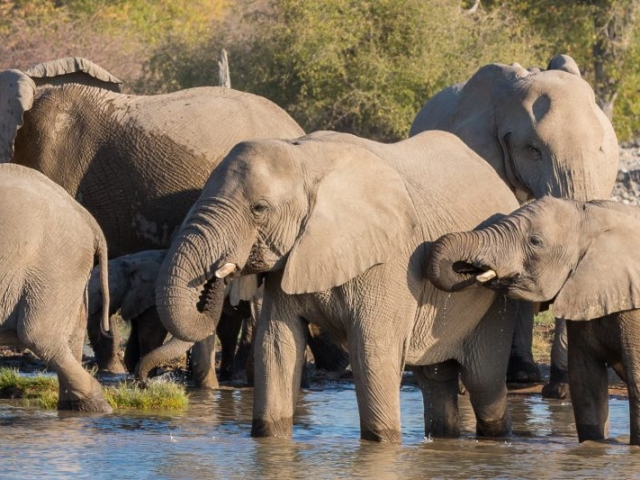 Banner-Destination-Namibia-2021 Banner-Destination-Namibia-2021
