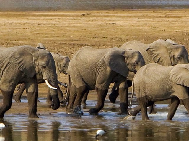 Banner-Destination-Zambia-2020
