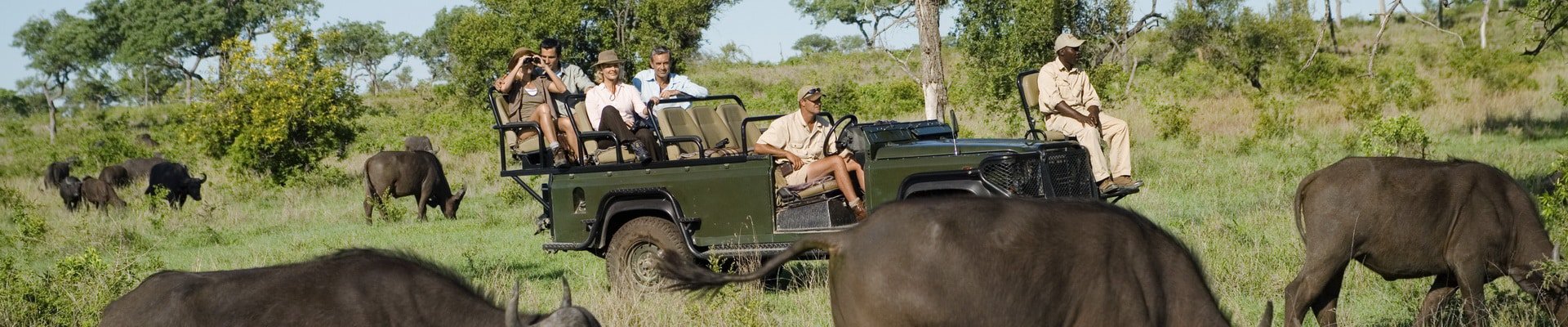 Where to go on an African safari in April?