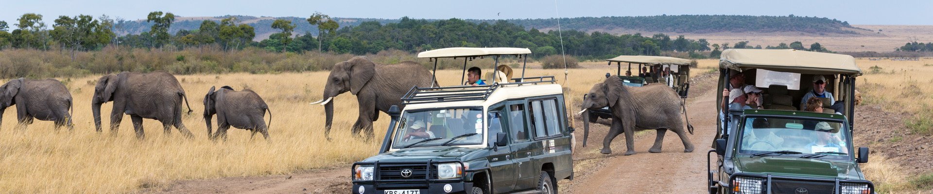 Where to go on an African Safari in August?