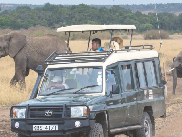 Planning your safari