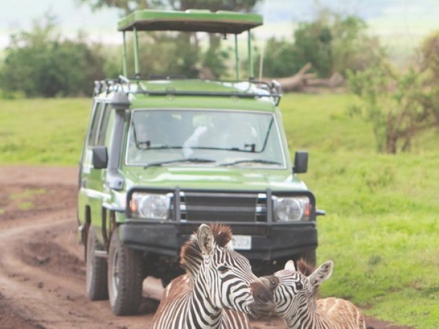 Safari Pricing
