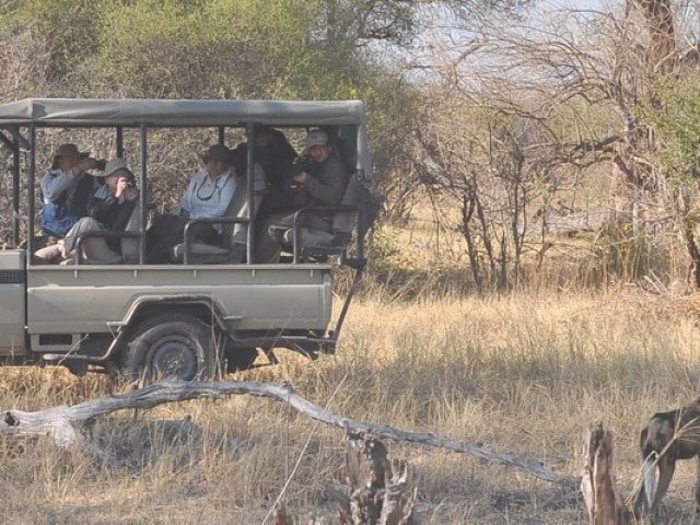 Type of Safari Vehicle