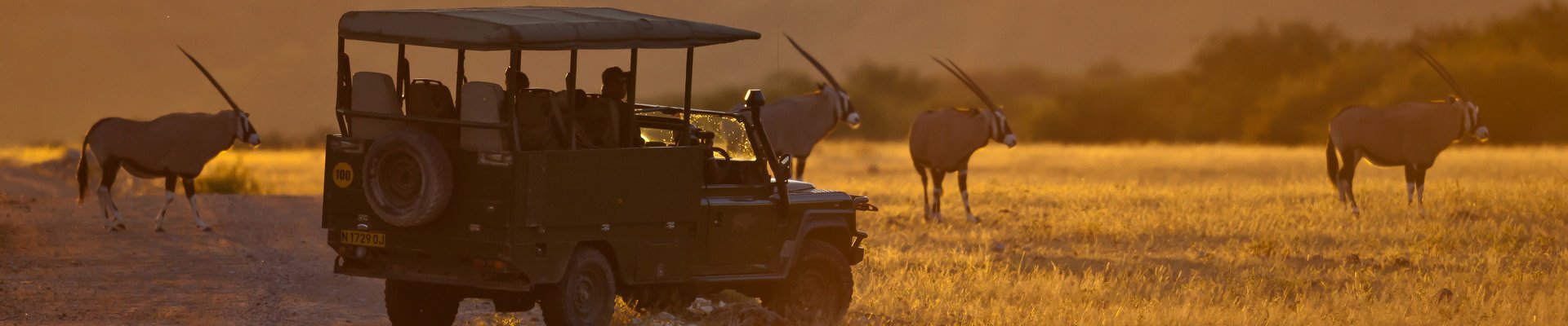 Tailor-made Safaris and Tours
