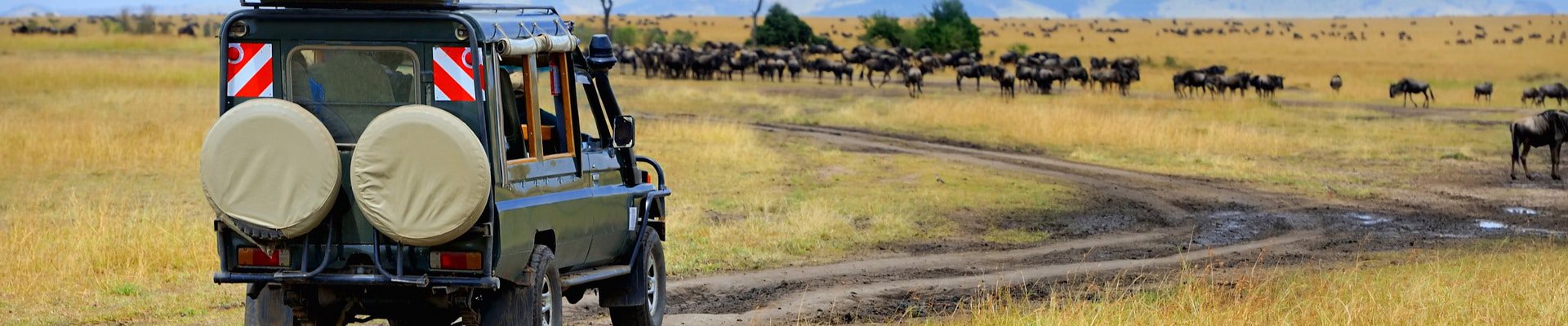 Where to go on an African safari in May?
