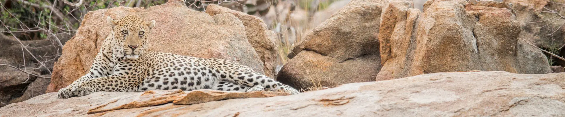 Where to go on safari for the first time?
