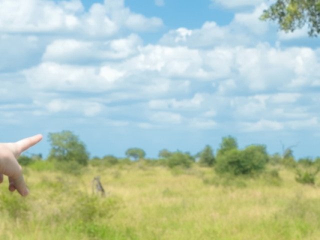 Family Safari