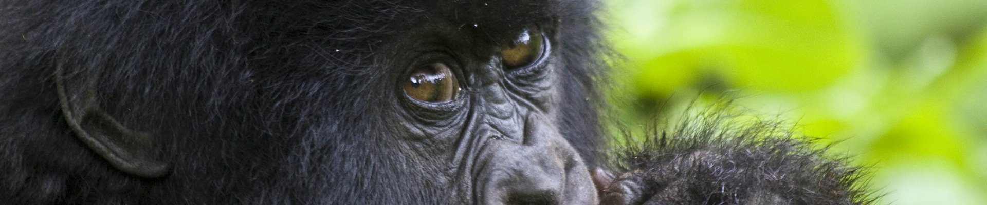 Rwanda
