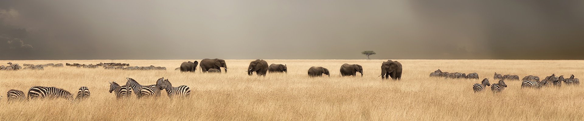 A brief guide to Africa’s wet and dry seasons