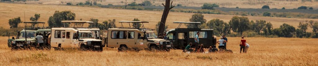 Custom Tailor-made Safaris vs Scheduled Safaris