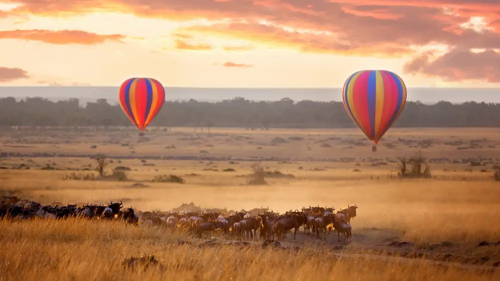 Where can you hot air balloon ride? African Safaris Ltd