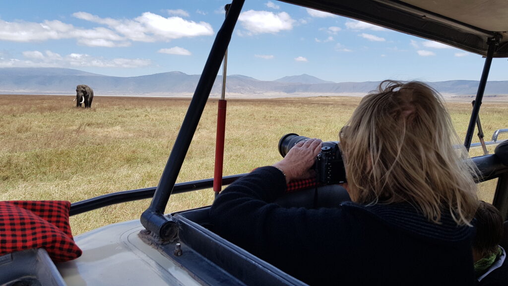 Kenya or Tanzania. Which is the best safari destination?