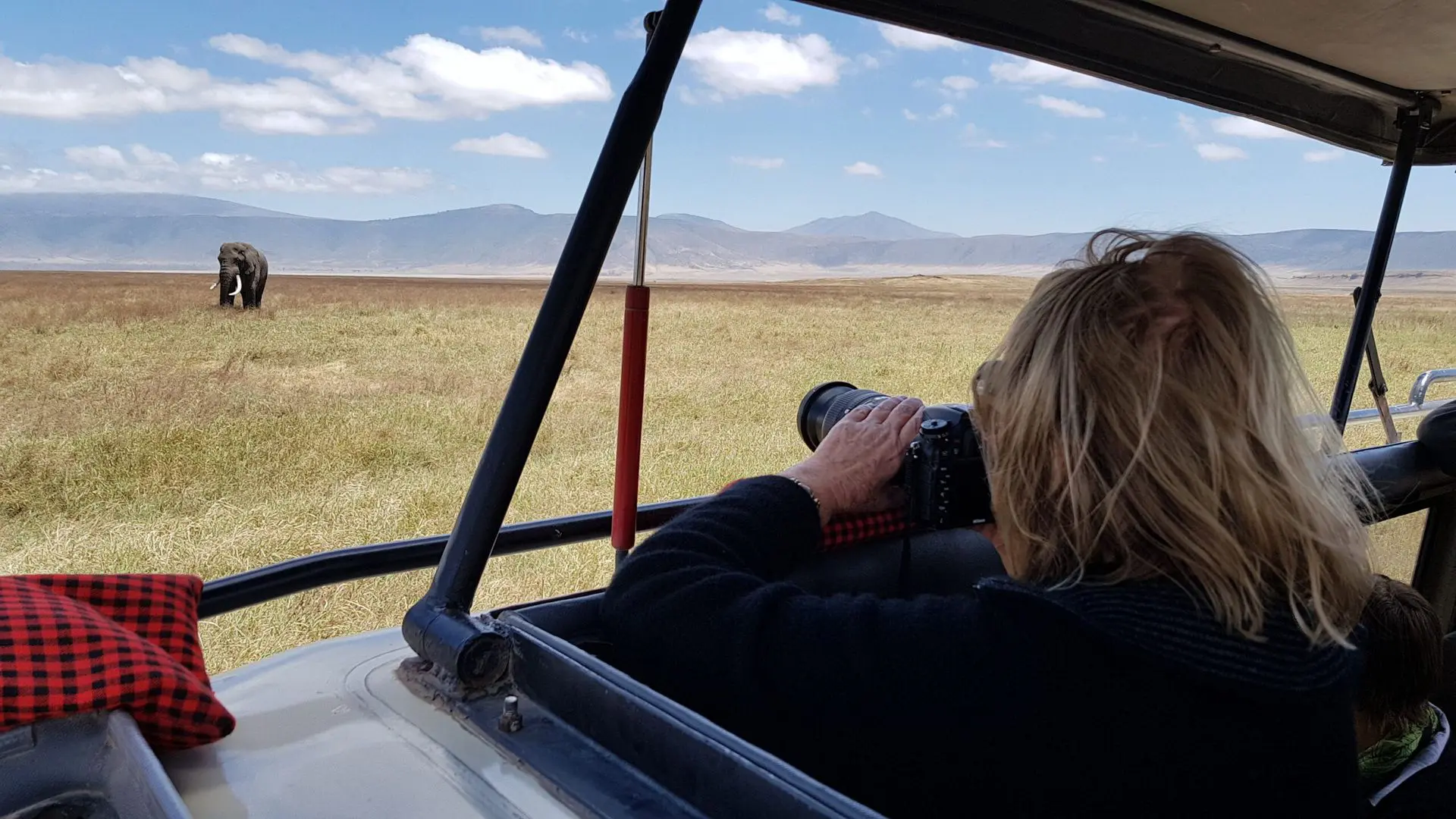 Kenya or Tanzania?  Which is the best safari destination?