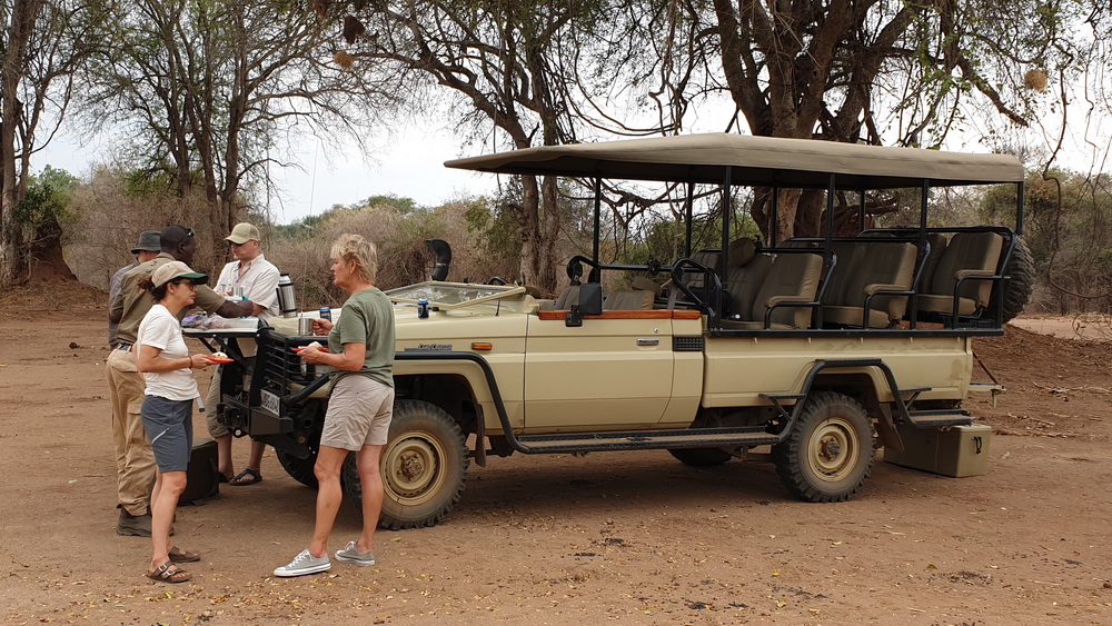 A typical day on an African safari