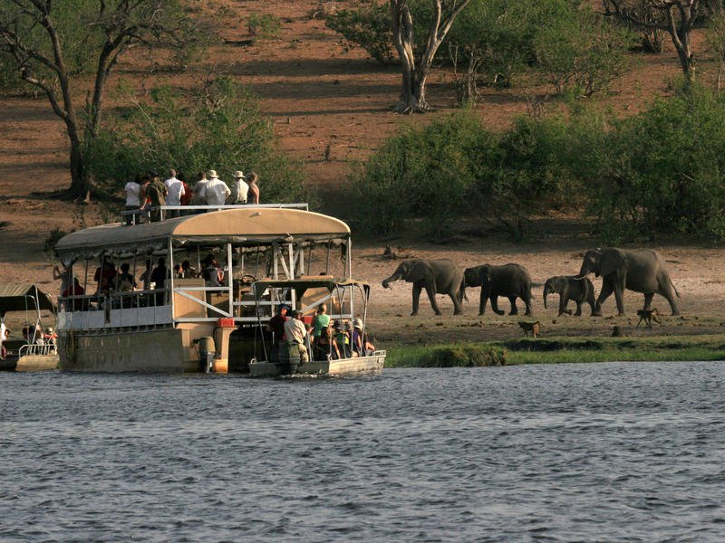 Chobe Bush Lodge, Botswana