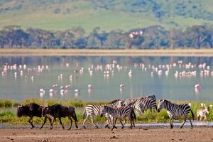 Tanzania Tanzania