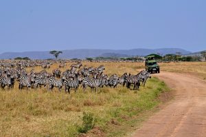 Tanzania Tanzania