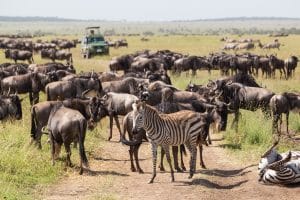Tanzania Tanzania