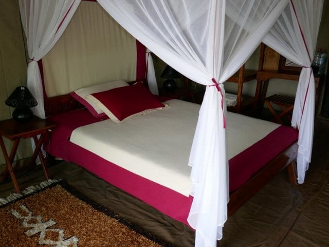 EMEU 11-day Madagascar Bush and Beach (Superior)