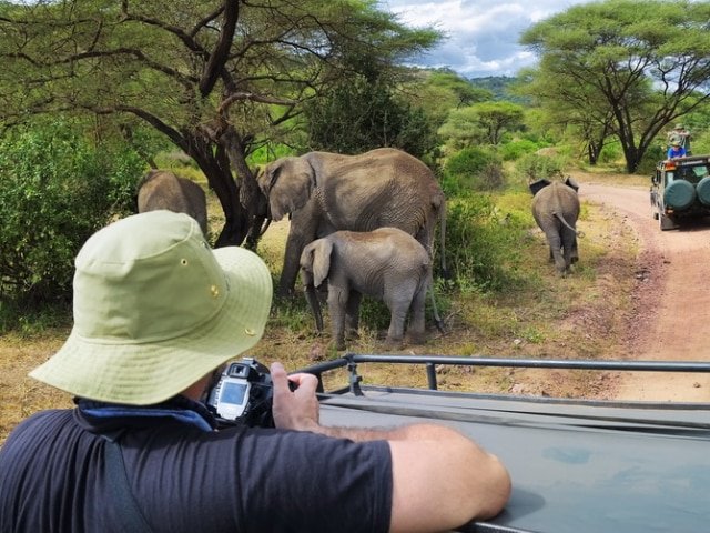 Family Safari