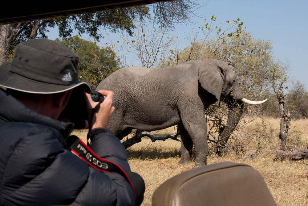 Safari Photography Tips